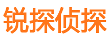 陆川市婚外情取证